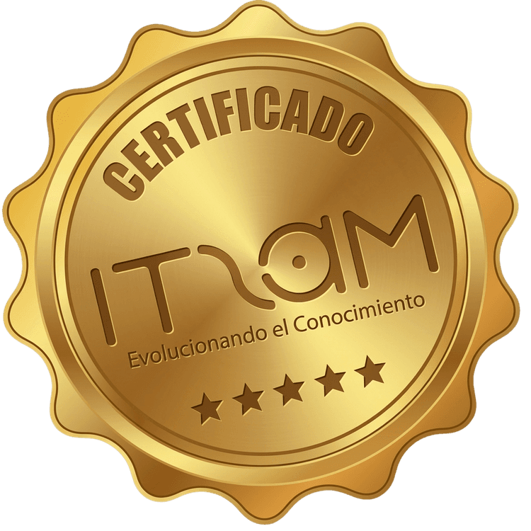 Certificado ITZAM